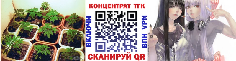 сколько стоит  Сегежа  дарк нет клад  Дистиллят ТГК THC oil 