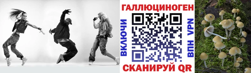 Галлюциногенные грибы Psilocybe  Сегежа 