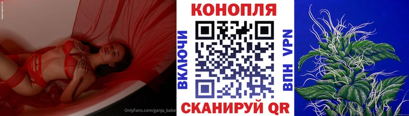 Каннабис сатива  shop как зайти  Сегежа  как найти закладки 